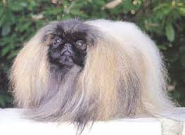 �����Ƒ��Ɍ}����O��